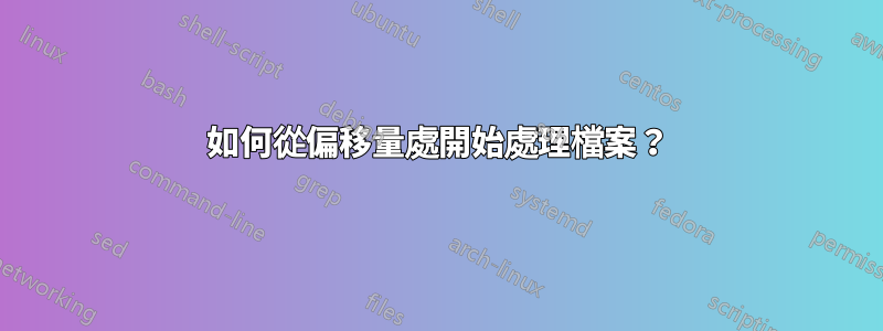 如何從偏移量處開始處理檔案？