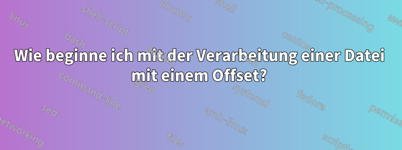 Wie beginne ich mit der Verarbeitung einer Datei mit einem Offset?