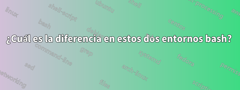 ¿Cuál es la diferencia en estos dos entornos bash?