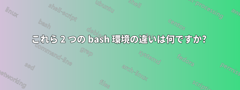 これら 2 つの bash 環境の違いは何ですか?