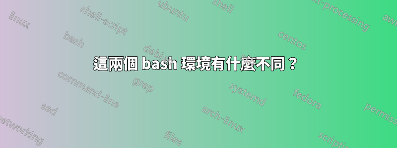 這兩個 bash 環境有什麼不同？