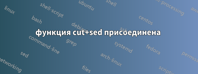 функция cut+sed присоединена