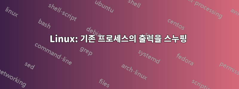 Linux: 기존 프로세스의 출력을 스누핑