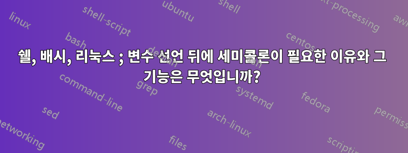 쉘, 배시, 리눅스 ; 변수 선언 뒤에 세미콜론이 필요한 이유와 그 기능은 무엇입니까?