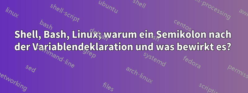 Shell, Bash, Linux; warum ein Semikolon nach der Variablendeklaration und was bewirkt es?