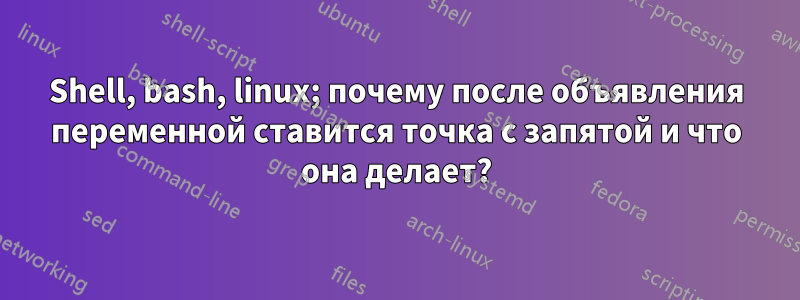 Shell, bash, linux; почему после объявления переменной ставится точка с запятой и что она делает?