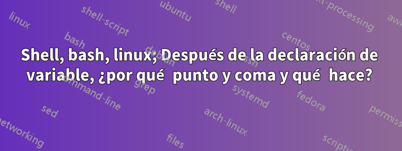 Shell, bash, linux; Después de la declaración de variable, ¿por qué punto y coma y qué hace?