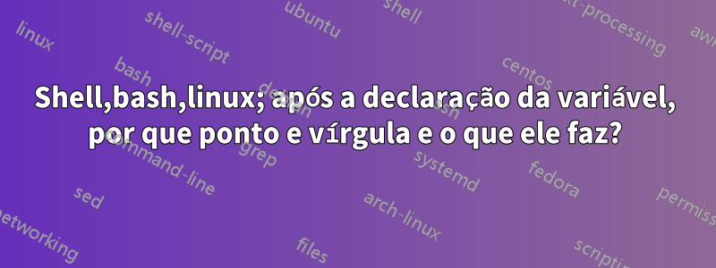 Shell,bash,linux; após a declaração da variável, por que ponto e vírgula e o que ele faz?