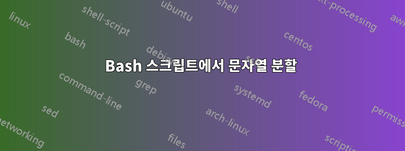 Bash 스크립트에서 문자열 분할