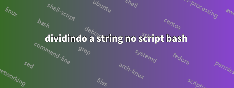 dividindo a string no script bash