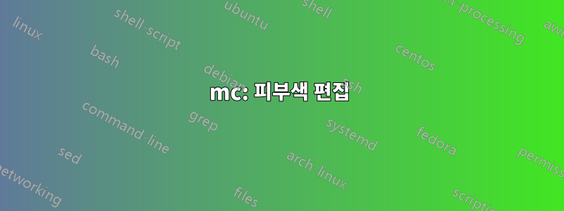 mc: 피부색 편집