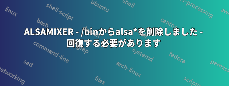 ALSAMIXER - /binからalsa*を削除しました - 回復する必要があります