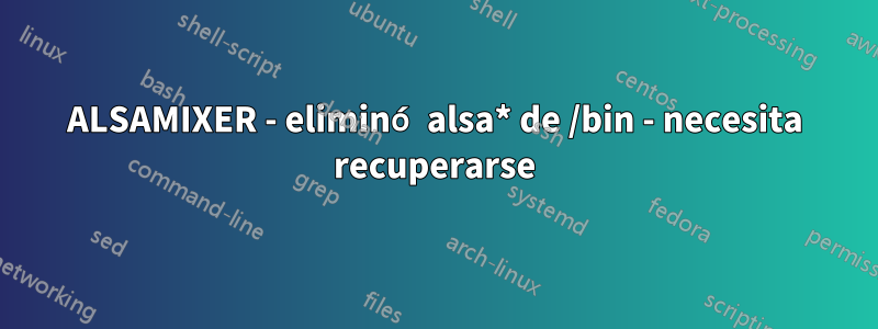 ALSAMIXER - eliminó alsa* de /bin - necesita recuperarse