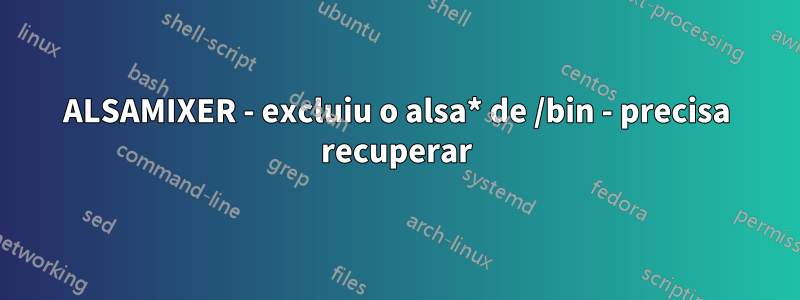 ALSAMIXER - excluiu o alsa* de /bin - precisa recuperar