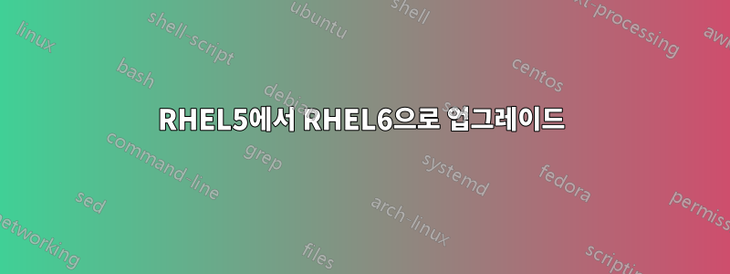 RHEL5에서 RHEL6으로 업그레이드