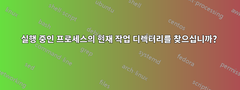 실행 중인 프로세스의 현재 작업 디렉터리를 찾으십니까?