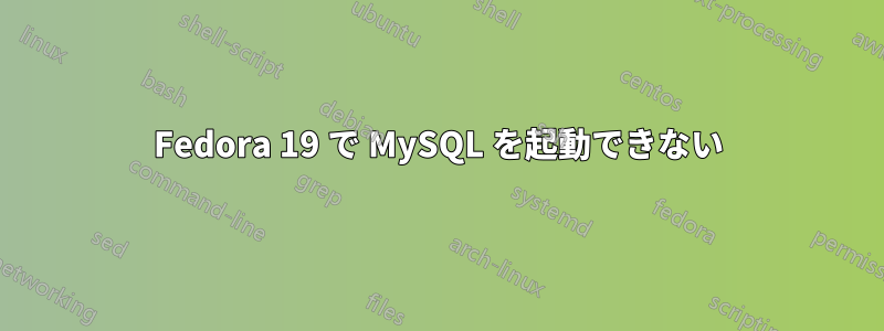 Fedora 19 で MySQL を起動できない