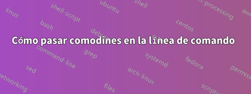 Cómo pasar comodines en la línea de comando 