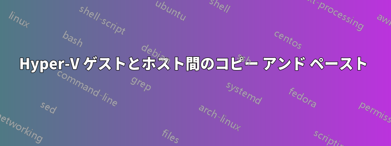 Hyper-V ゲストとホスト間のコピー アンド ペースト