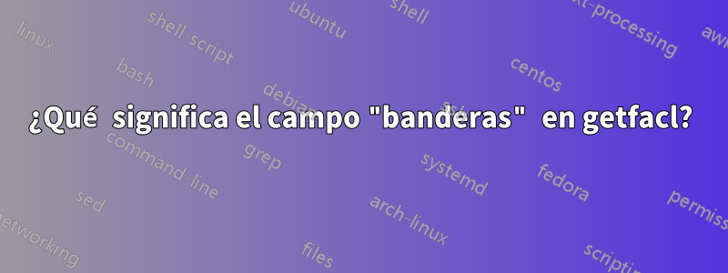 ¿Qué significa el campo "banderas" en getfacl?