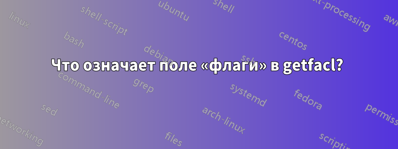 Что означает поле «флаги» в getfacl?