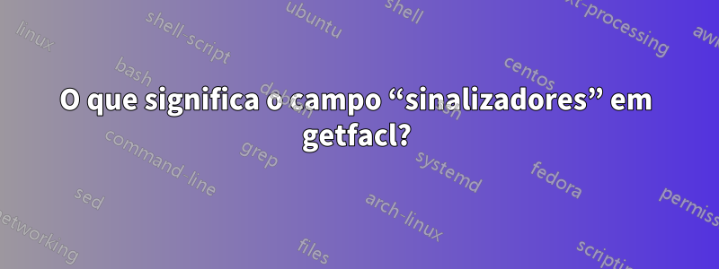 O que significa o campo “sinalizadores” em getfacl?