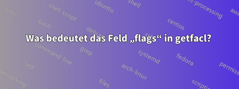 Was bedeutet das Feld „flags“ in getfacl?