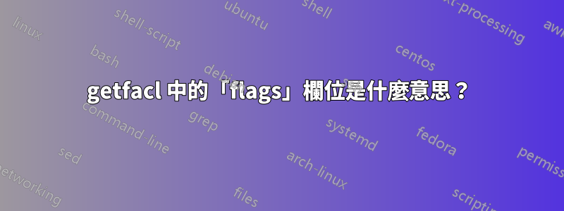 getfacl 中的「flags」欄位是什麼意思？