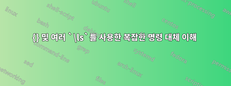 {} 및 여러 `\ls`를 사용한 복잡한 명령 대체 이해