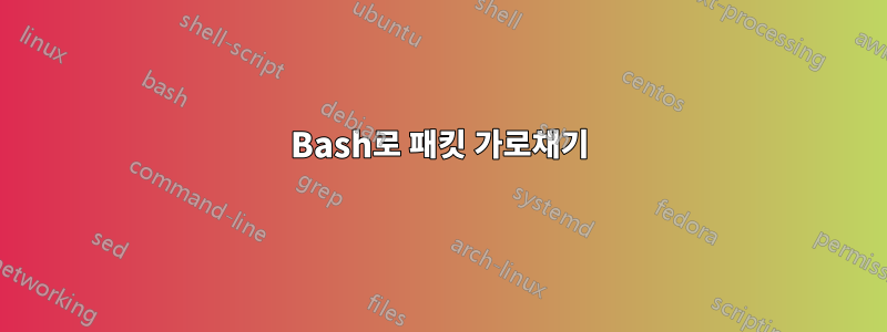 Bash로 패킷 가로채기