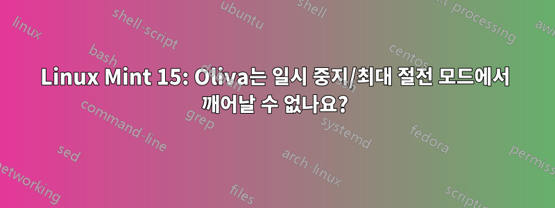 Linux Mint 15: Oliva는 일시 중지/최대 절전 모드에서 깨어날 수 없나요?