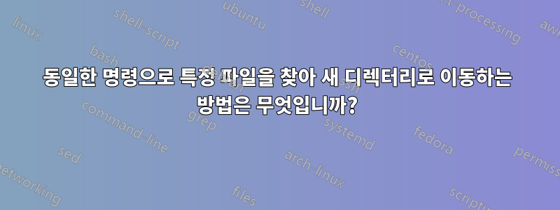 동일한 명령으로 특정 파일을 찾아 새 디렉터리로 이동하는 방법은 무엇입니까?