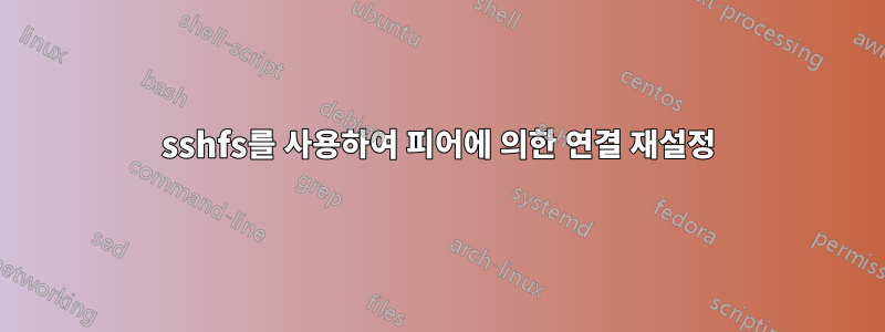 sshfs를 사용하여 피어에 의한 연결 재설정