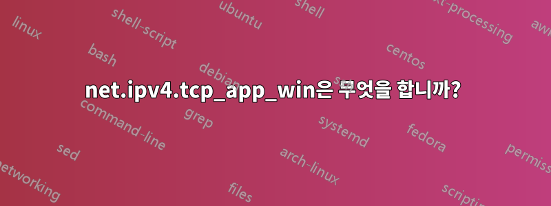 net.ipv4.tcp_app_win은 무엇을 합니까?