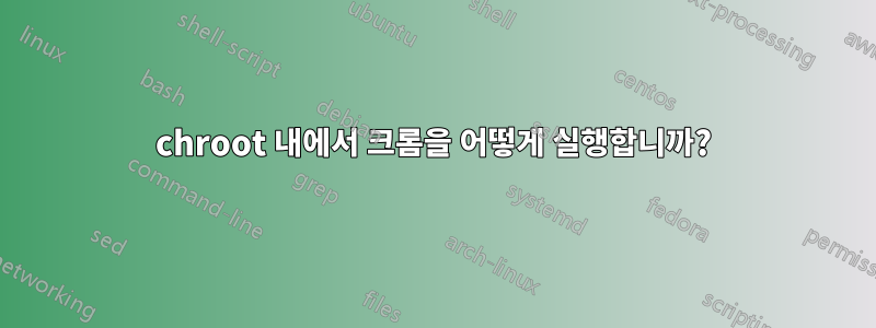chroot 내에서 크롬을 어떻게 실행합니까?