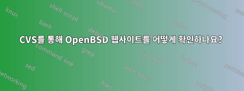 CVS를 통해 OpenBSD 웹사이트를 어떻게 확인하나요?