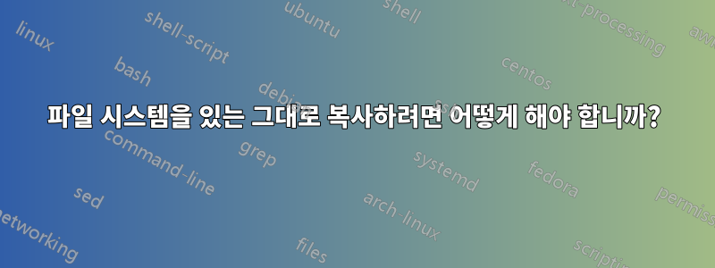 파일 시스템을 있는 그대로 복사하려면 어떻게 해야 합니까?