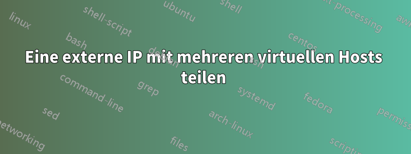 Eine externe IP mit mehreren virtuellen Hosts teilen