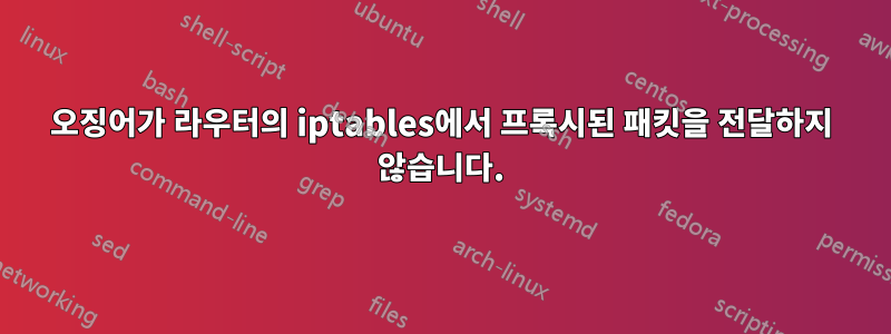 오징어가 라우터의 iptables에서 프록시된 패킷을 전달하지 않습니다.