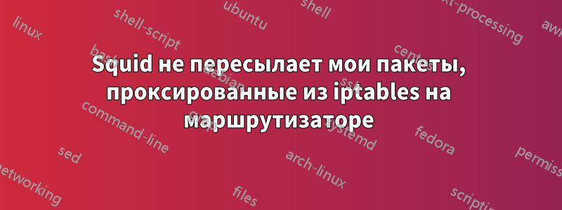 Squid не пересылает мои пакеты, проксированные из iptables на маршрутизаторе