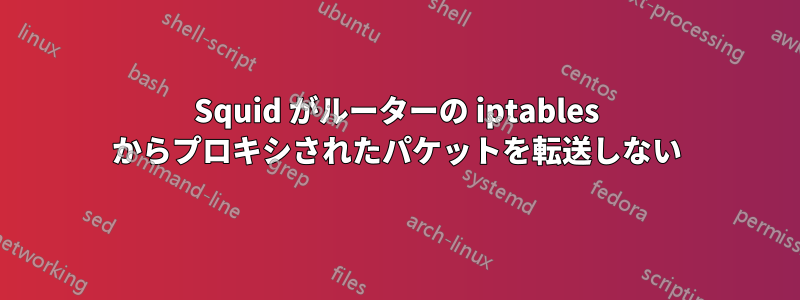 Squid がルーターの iptables からプロキシされたパケットを転送しない