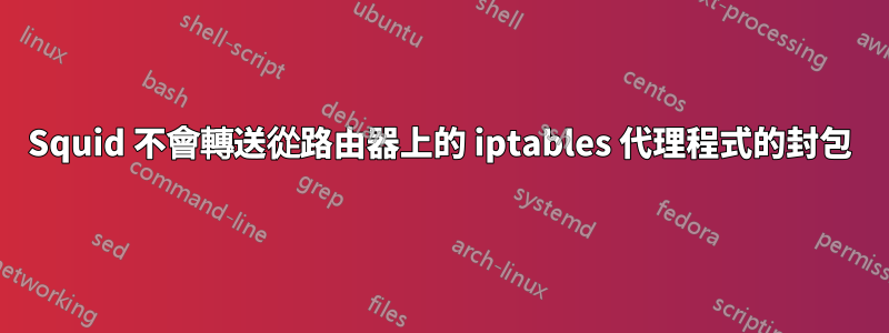 Squid 不會轉送從路由器上的 iptables 代理程式的封包