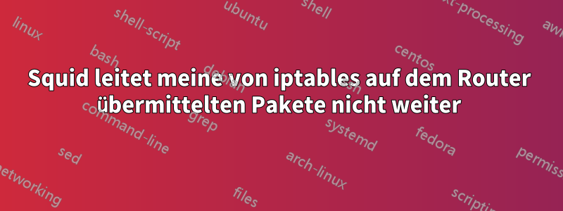 Squid leitet meine von iptables auf dem Router übermittelten Pakete nicht weiter
