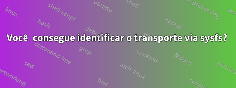 Você consegue identificar o transporte via sysfs?