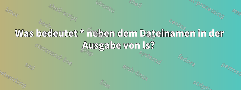 Was bedeutet * neben dem Dateinamen in der Ausgabe von ls?