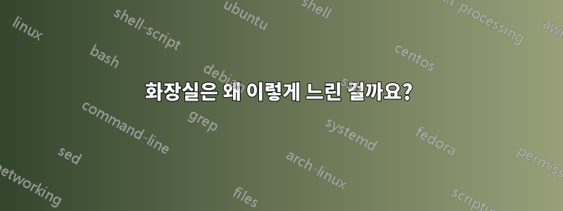 화장실은 왜 이렇게 느린 걸까요?