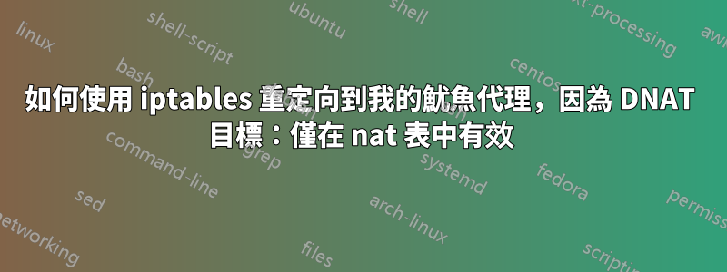 如何使用 iptables 重定向到我的魷魚代理，因為 DNAT 目標：僅在 nat 表中有效