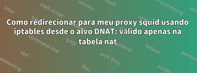 Como redirecionar para meu proxy squid usando iptables desde o alvo DNAT: válido apenas na tabela nat
