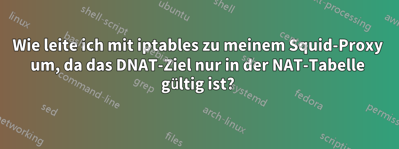 Wie leite ich mit iptables zu meinem Squid-Proxy um, da das DNAT-Ziel nur in der NAT-Tabelle gültig ist?