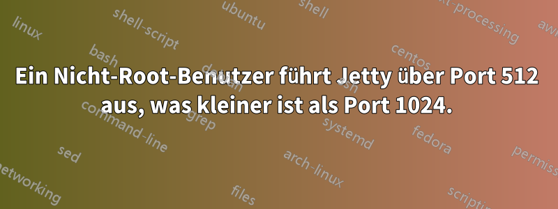 Ein Nicht-Root-Benutzer führt Jetty über Port 512 aus, was kleiner ist als Port 1024.
